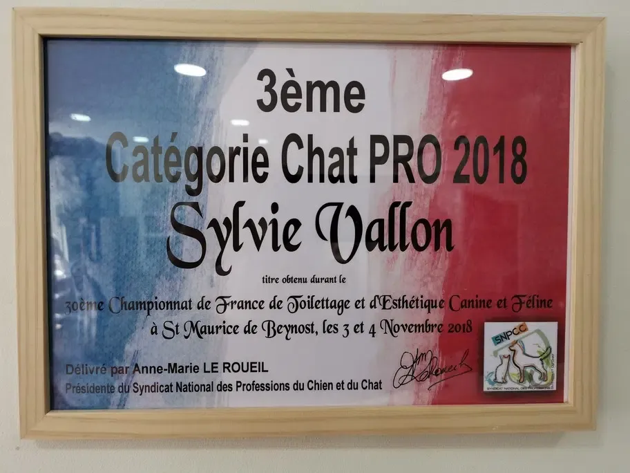 diplome