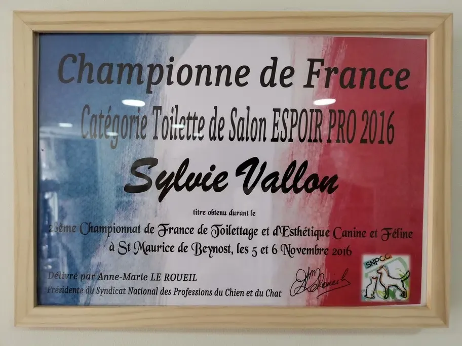 diplome