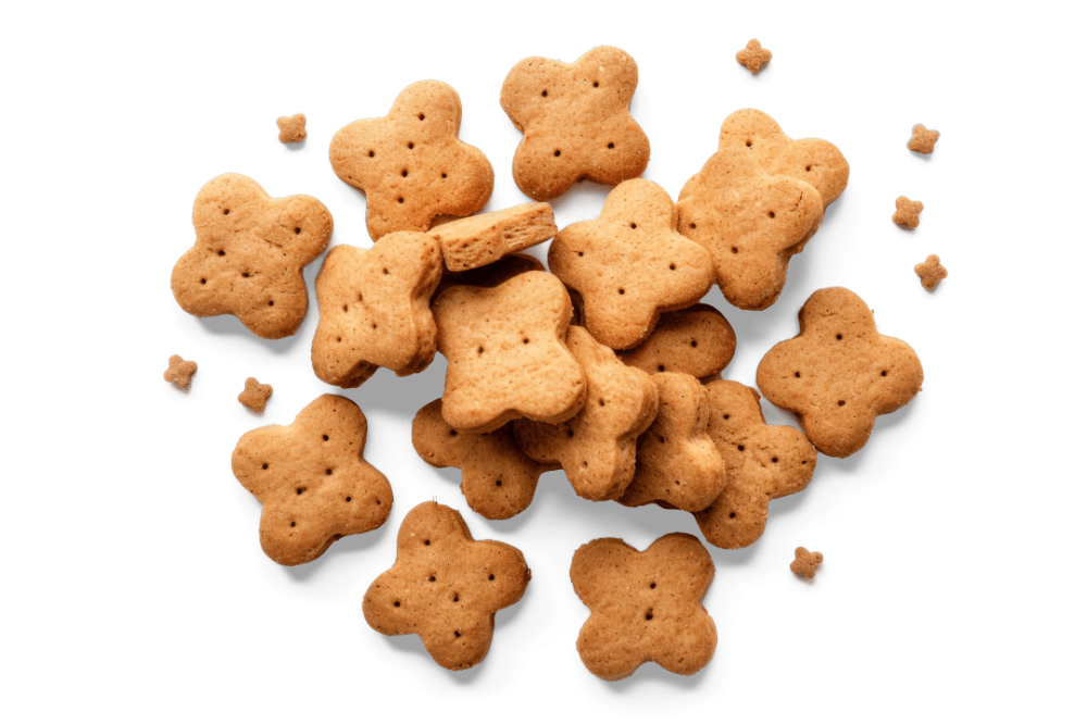 friandises-chien