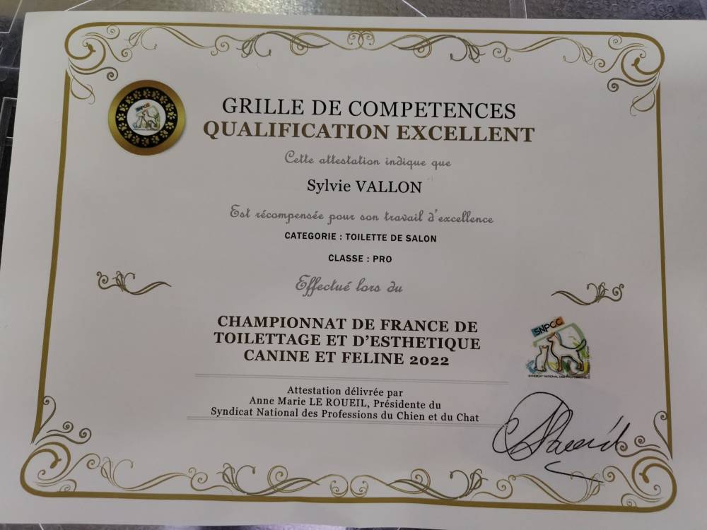 qualification (1)