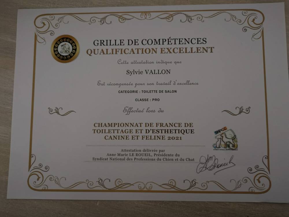 qualification (2)