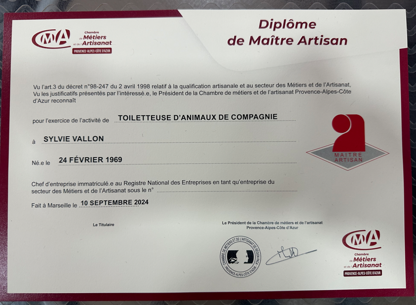 Capture d'écran 2024-10-28 142521